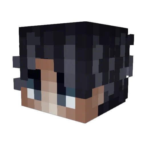 boulots Minecraft avatar head, 3D render