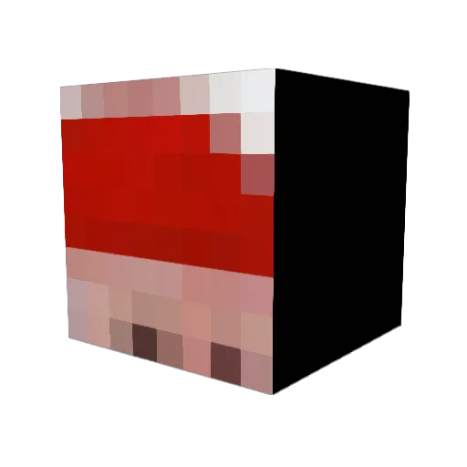 bouncebooger Minecraft avatar head, 3D render