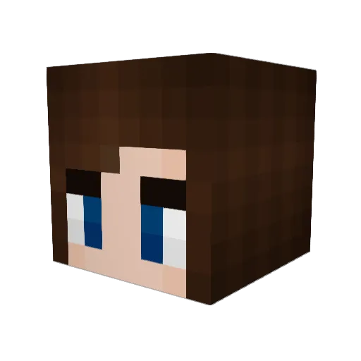 bouncer16 Minecraft avatar head, 3D render
