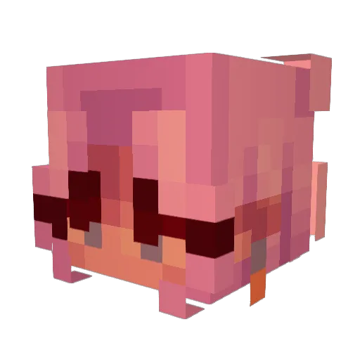 bouncy5494 Minecraft avatar head, 3D render