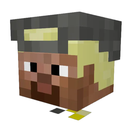 bouncy_fish Minecraft avatar head, 3D render