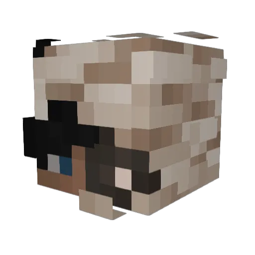 bound1 Minecraft avatar head, 3D render