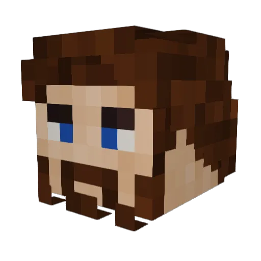 bountyhunterz55 Minecraft avatar head, 3D render