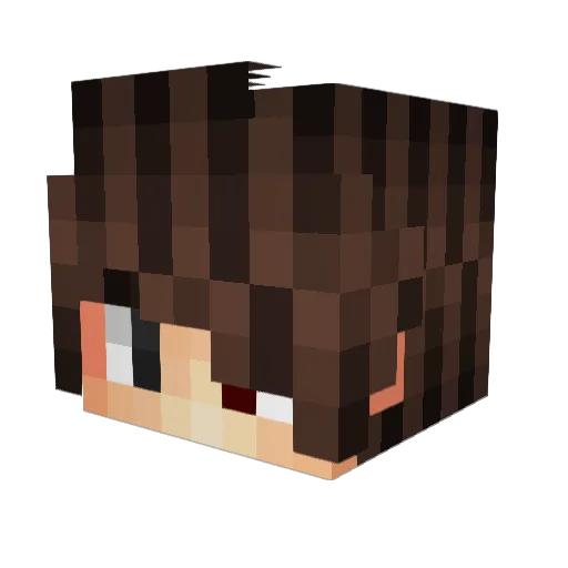 boutch00 Minecraft avatar head, 3D render