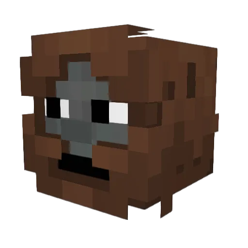 bowhunt2005 Minecraft avatar head, 3D render