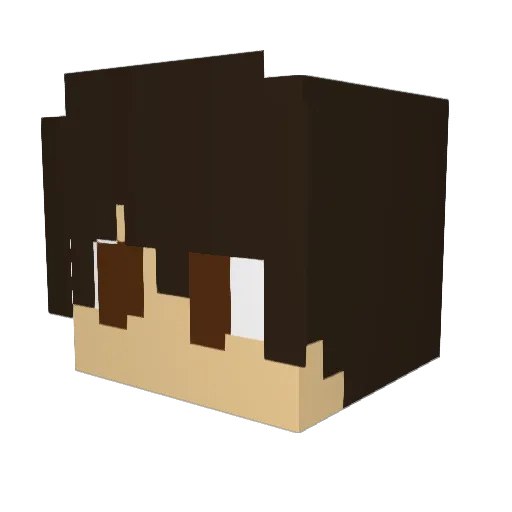 bowlturner1 Minecraft avatar head, 3D render
