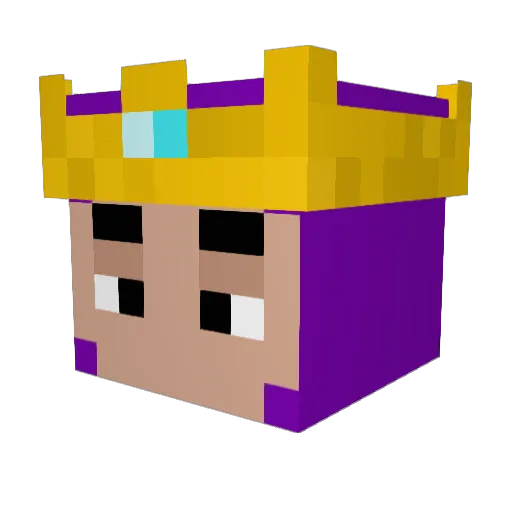bowseee17 Minecraft avatar head, 3D render