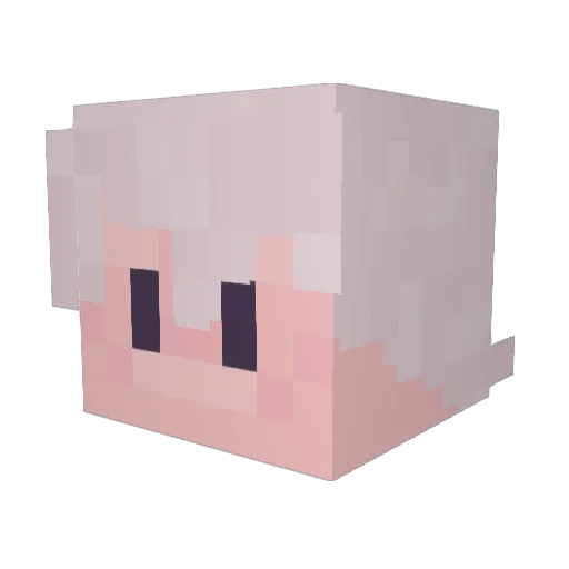 bowwies Minecraft avatar head, 3D render