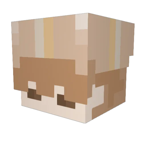 box_OWO Minecraft avatar head, 3D render