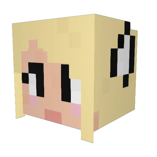 boxingbeekeeper Minecraft avatar head, 3D render