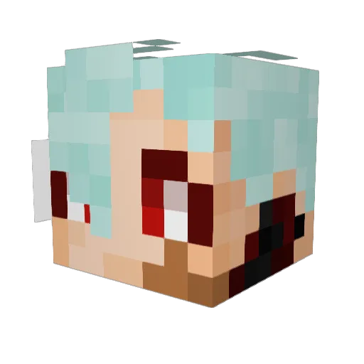 boxofbagels Minecraft avatar head, 3D render