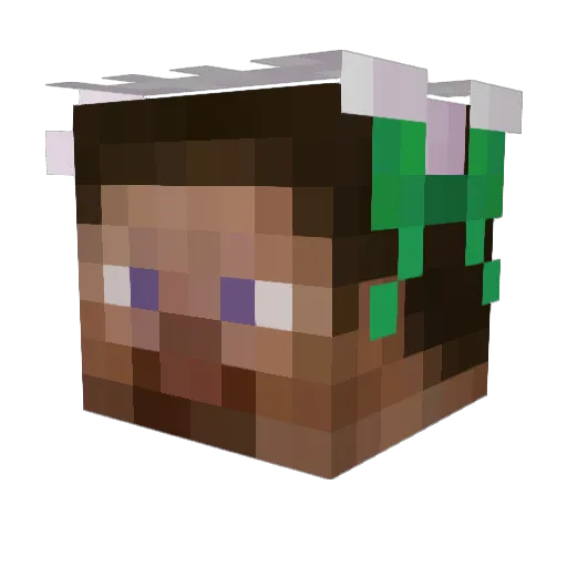 boxxnn Minecraft avatar head, 3D render