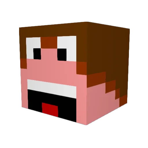 boxxy1 Minecraft avatar head, 3D render