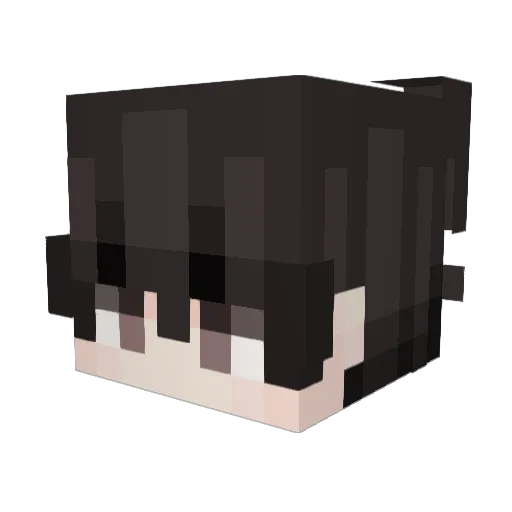boyboy0322 Minecraft avatar head, 3D render