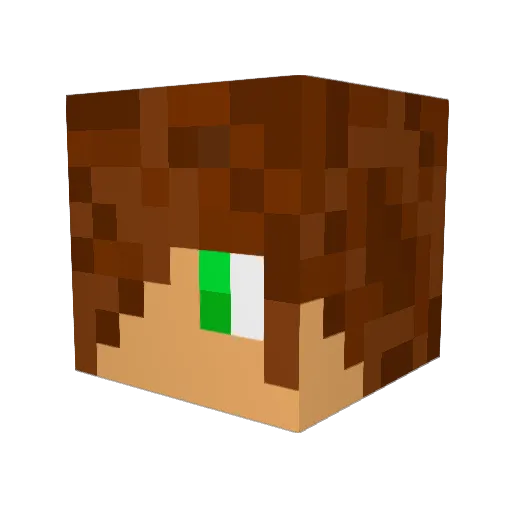boyexplosive30 Minecraft avatar head, 3D render