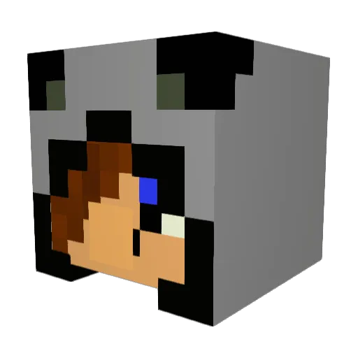 boyfire Minecraft avatar head, 3D render