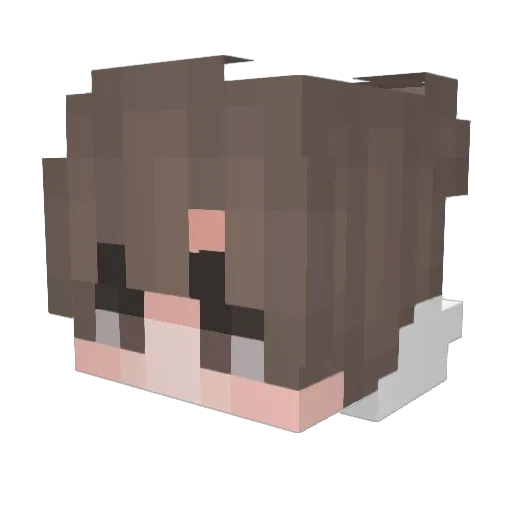 boyfps_ Minecraft avatar head, 3D render