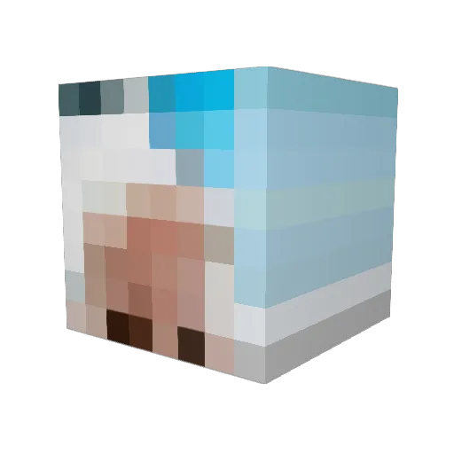 boygnant Minecraft avatar head, 3D render