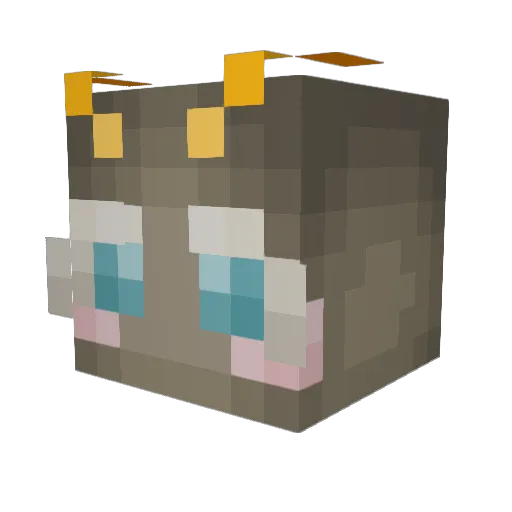 boyinatree Minecraft avatar head, 3D render