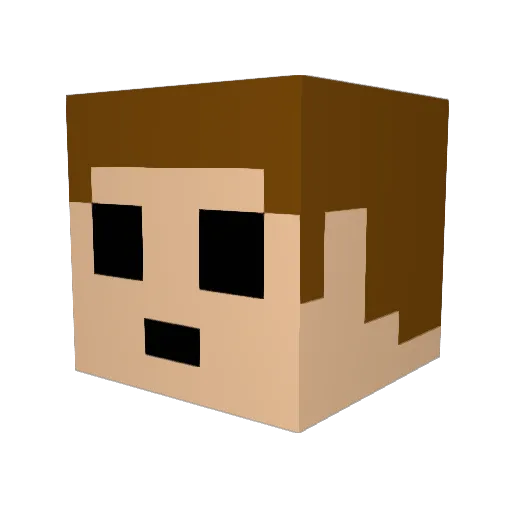 boyindawoods Minecraft avatar head, 3D render
