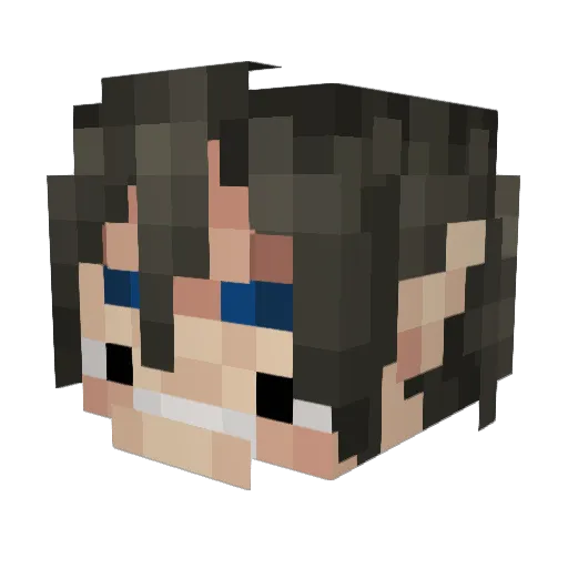 boylittle420 Minecraft avatar head, 3D render