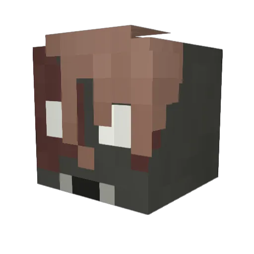 boyofcoolness Minecraft avatar head, 3D render