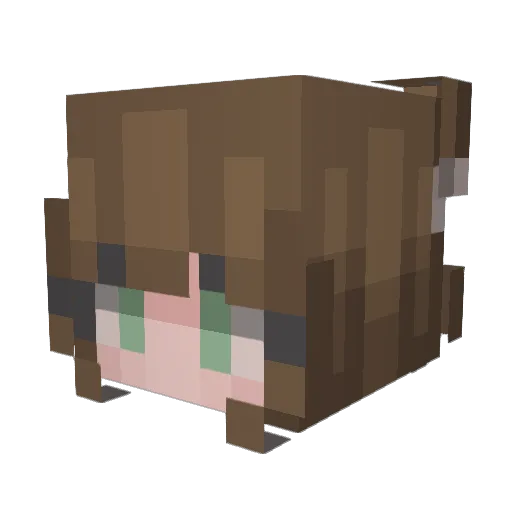 boyplay Minecraft avatar head, 3D render