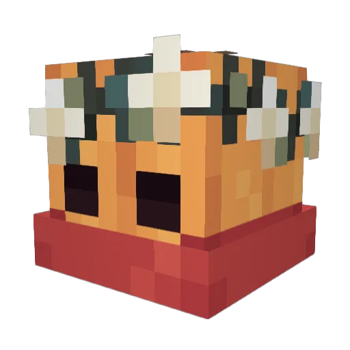 boyslop Minecraft avatar head, 3D render
