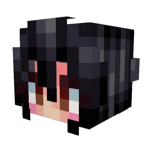 boyydivision Minecraft avatar head, 3D render