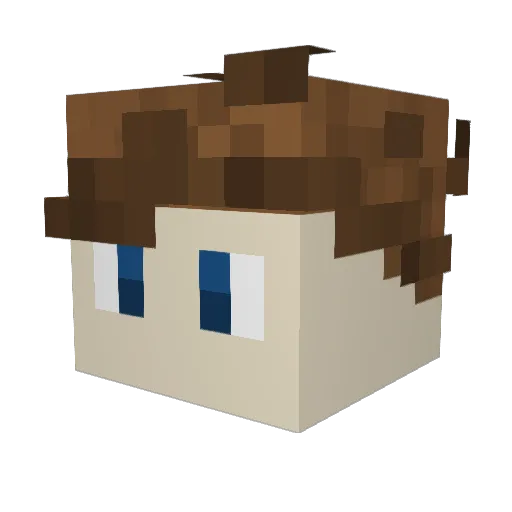 boyzogib Minecraft avatar head, 3D render