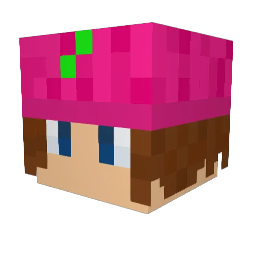bozenko Minecraft avatar head, 3D render