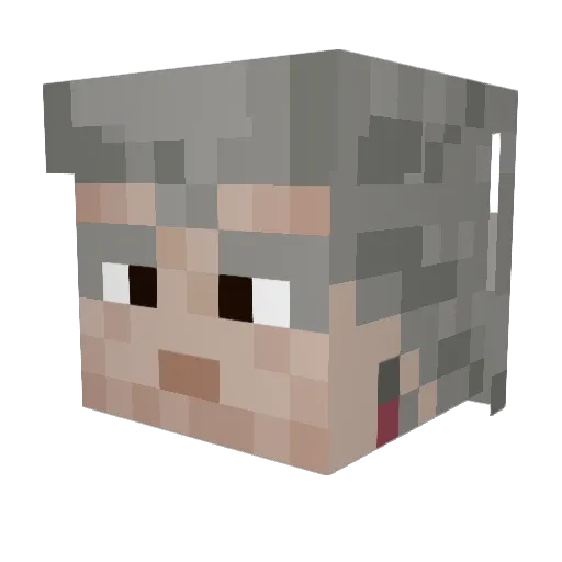 bozkovmore Minecraft avatar head, 3D render