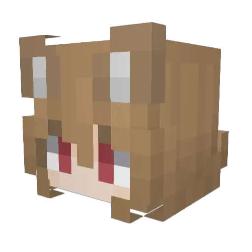 bozra99 Minecraft avatar head, 3D render