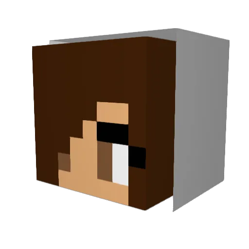 bparkerson2 Minecraft avatar head, 3D render