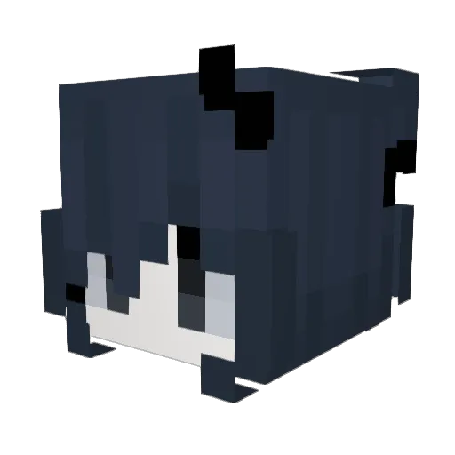 bpau Minecraft avatar head, 3D render