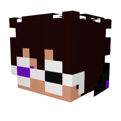 bpisabropro Minecraft avatar head, 3D render