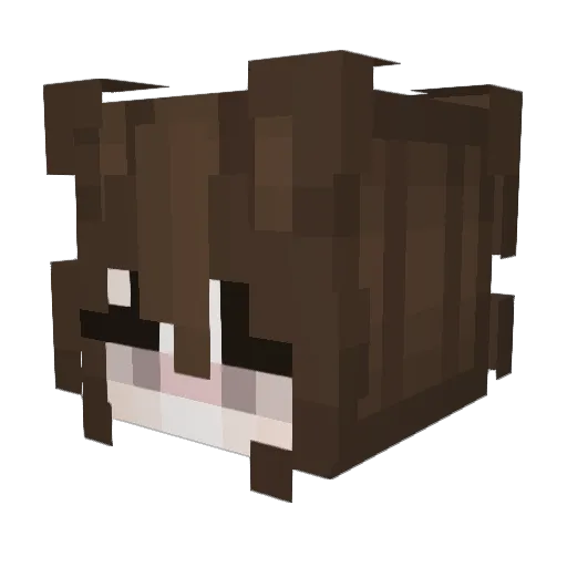 br00kdavamp Minecraft avatar head, 3D render