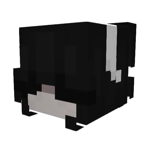br0ok3 Minecraft avatar head, 3D render