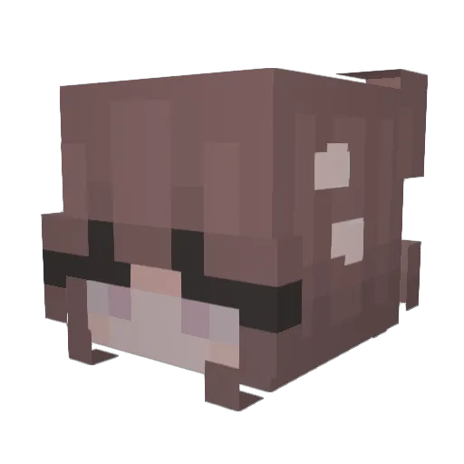 br4v0 Minecraft avatar head, 3D render
