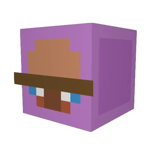 br_an1 Minecraft avatar head, 3D render