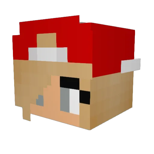 br_boy Minecraft avatar head, 3D render