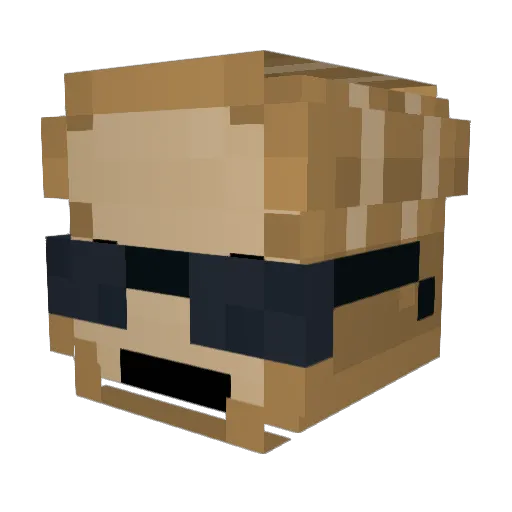 br_d Minecraft avatar head, 3D render