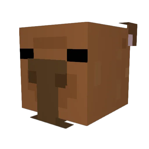 braaki Minecraft avatar head, 3D render