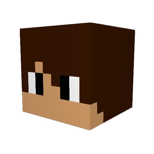 bracbob Minecraft avatar head, 3D render