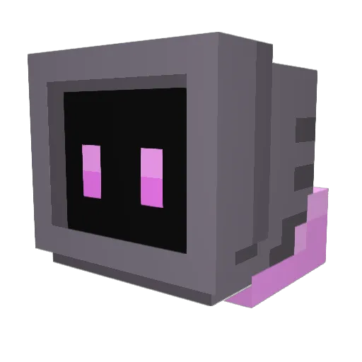 bracie1929 Minecraft avatar head, 3D render