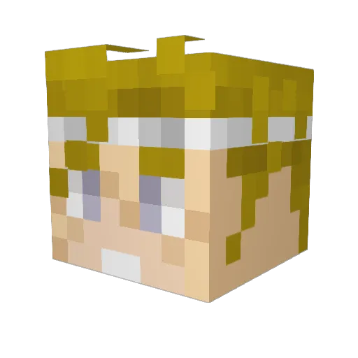 brack21 Minecraft avatar head, 3D render
