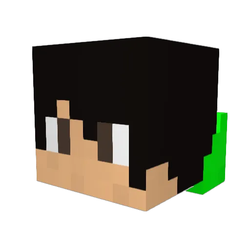 brackmen Minecraft avatar head, 3D render