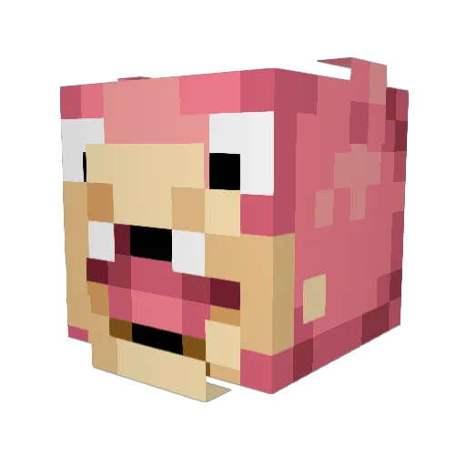 brackney Minecraft avatar head, 3D render