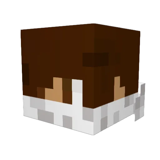 bracmort Minecraft avatar head, 3D render