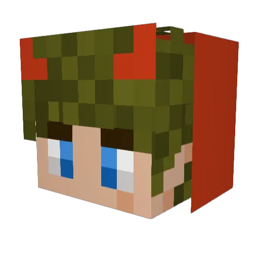bradbrad31 Minecraft avatar head, 3D render